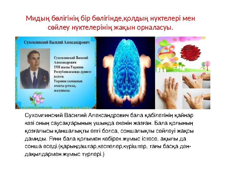 Сухомлинский Василий Александрович бала қабілетінің қайнар көзі оның саусақтарының ұшында екенін жазған. Бала қолының қозғалыс