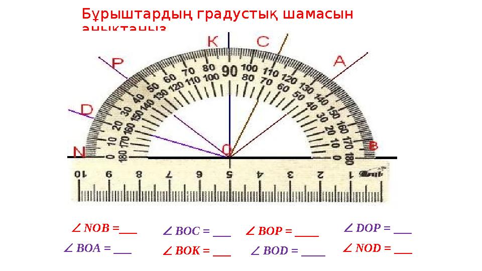 Бұрыштардың градустық шамасын анықтаңыз  NOB =___  BOA = ___  BOC = ___  BOK = ___  BOP = ____  BOD = _