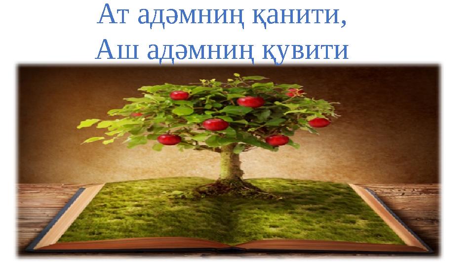 Ат адәмниң қанити, Аш адәмниң қувити