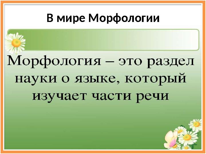 В мире Морфологии