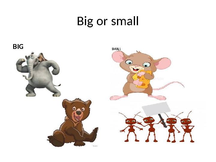 Big or small BIG SMALL