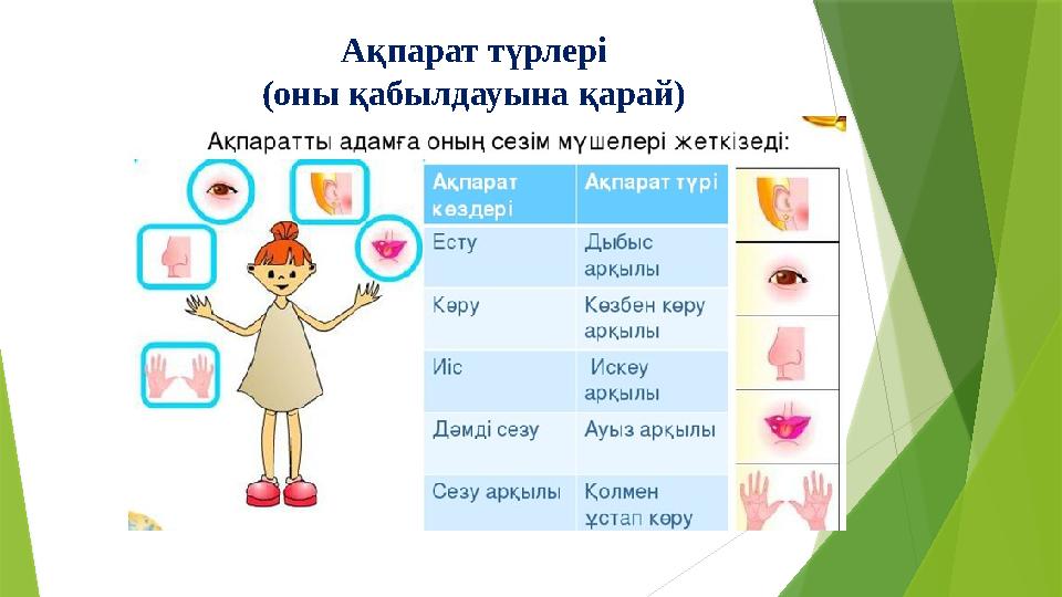 Ақпарат түрлері (оны қабылдауына қарай)