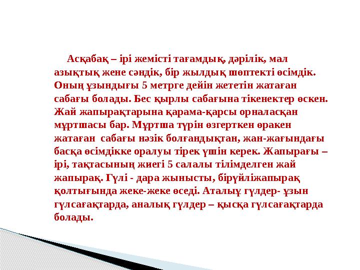 Асқабақ – ірі жемісті тағамдық, дәрілік, мал азықтық жене сәндік, бір жылдық шөптекті өсімдік. Оның ұзындығы 5 метрге де