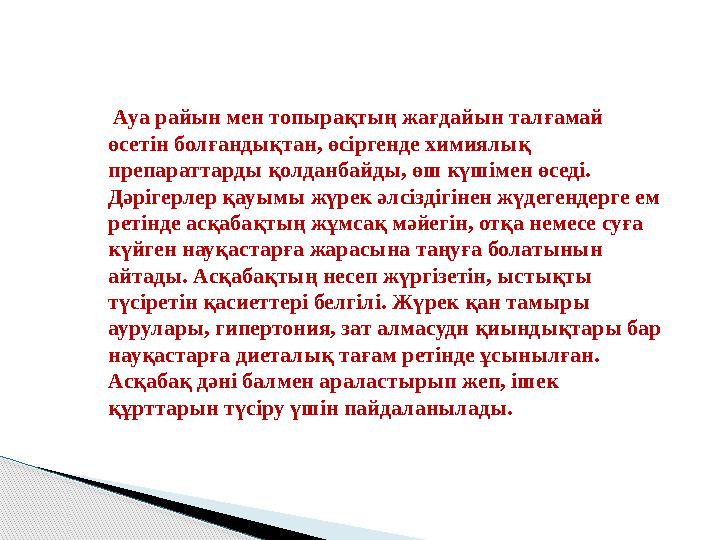 Ауа райын мен топырақтың жағдайын талғамай өсетін болғандықтан, өсіргенде химиялық препараттарды қолданбайды, өш күшімен өсе