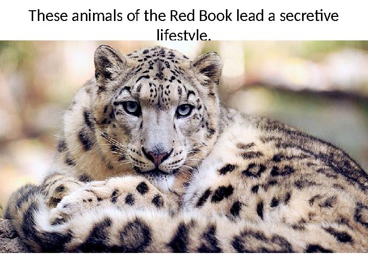 These animals of the Red Book lead a secretive lifestyle.