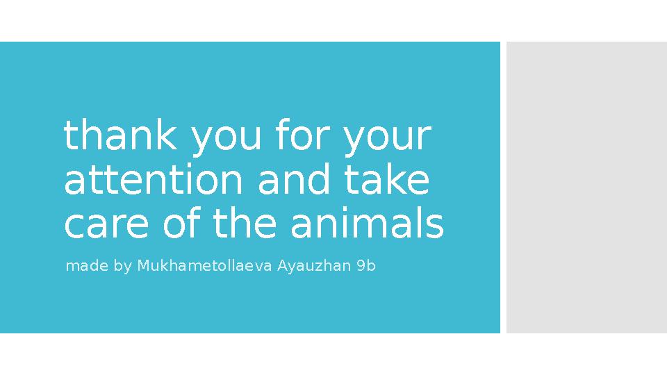 thank you for your attention and take care of the animals made by Mukhametollaeva Ayauzhan 9b