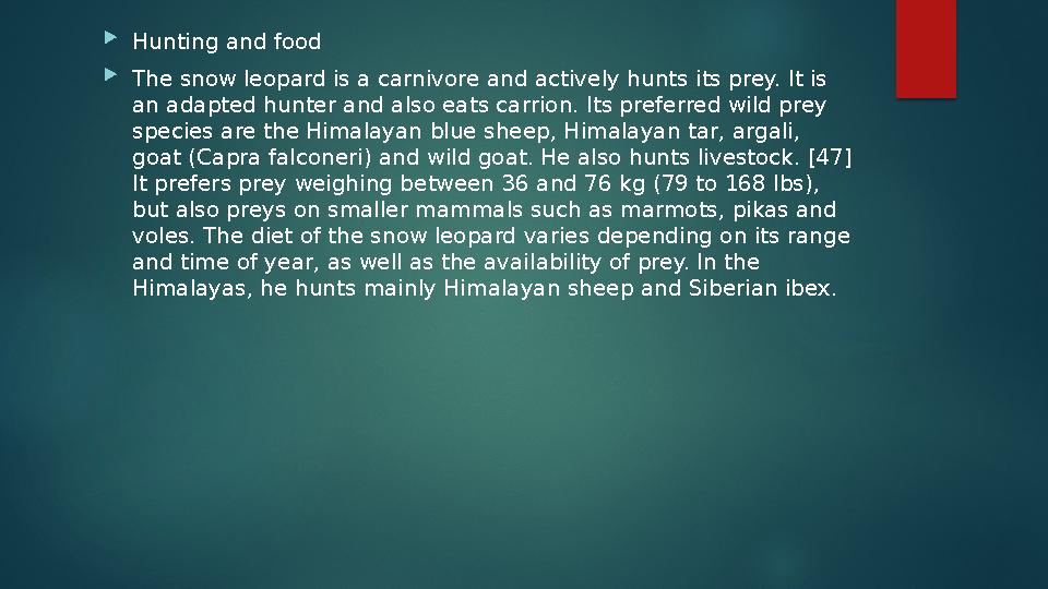  Hunting and food  The snow leopard is a carnivore and actively hunts its prey. It is an adapted hunter and also eats carrion
