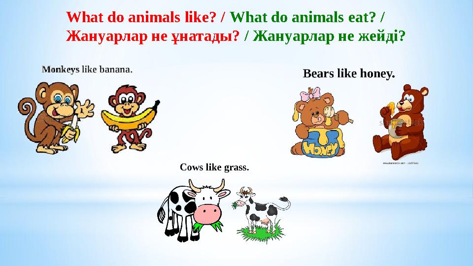 What do animals like? / What do animals eat? / Жануарлар не ұнатады? / Жануарлар не жейді?