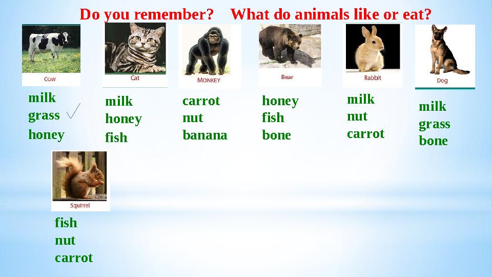Do you remember? What do animals like or eat? milk grass honey milk honey fish carrot nut banana honey fish bone milk nu