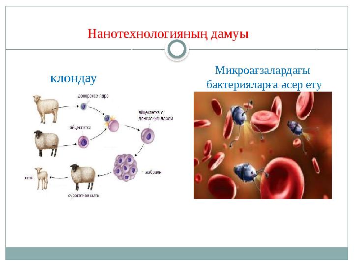 . клондау Микроағзалардағы бактерияларға әсер етуНанотехнологияның дамуы