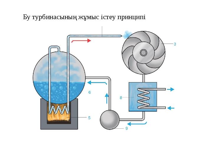 Бу турбинасының жұмыс істеу принципі