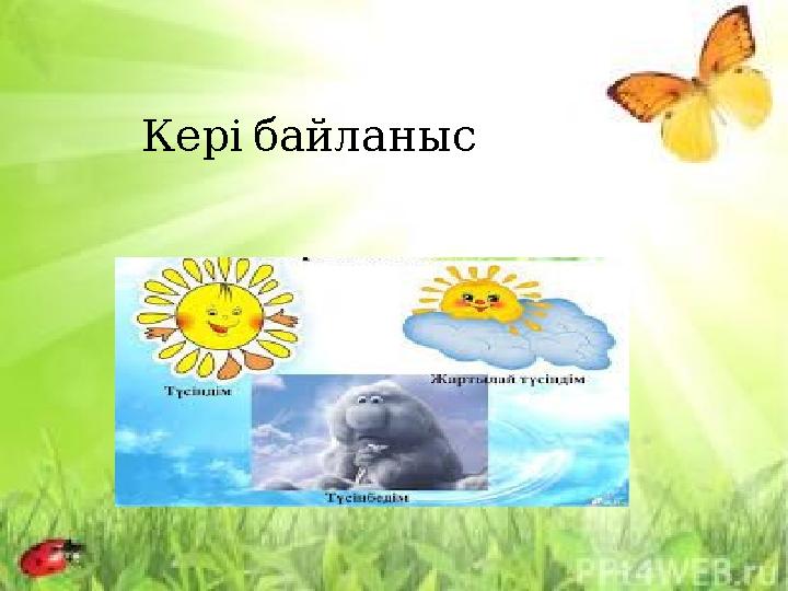 Кері байланыс
