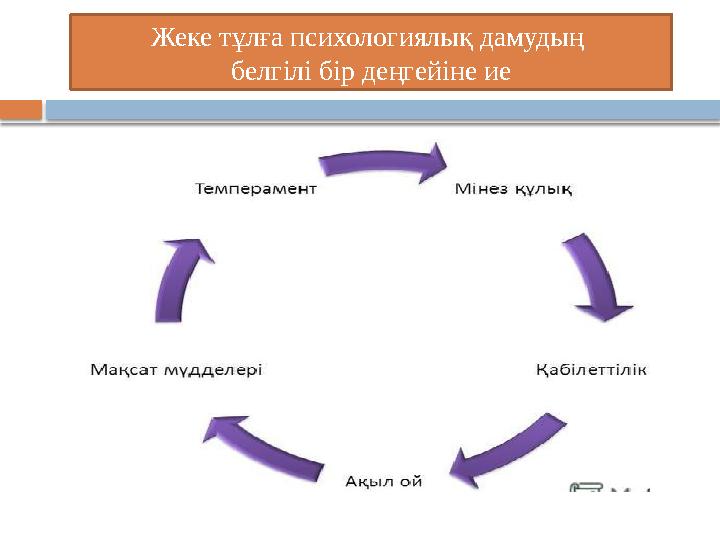 Жеке тұлға психологиялық дамудың белгілі бір деңгейіне ие