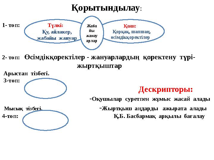 Қорытындылау : 1- топ: 2- топ: Өсімдікқоректілер - жануарлардың қоректену түрі-