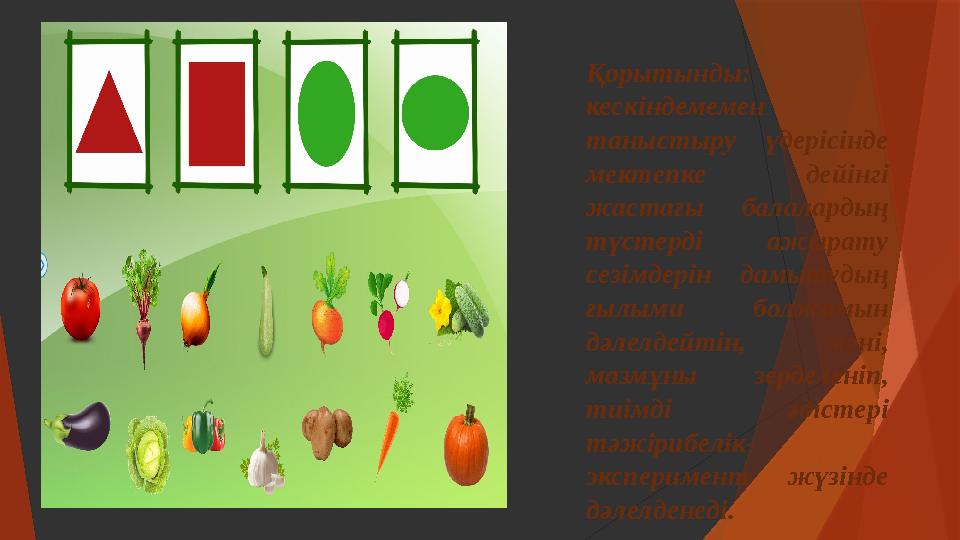 Порно секс шоп