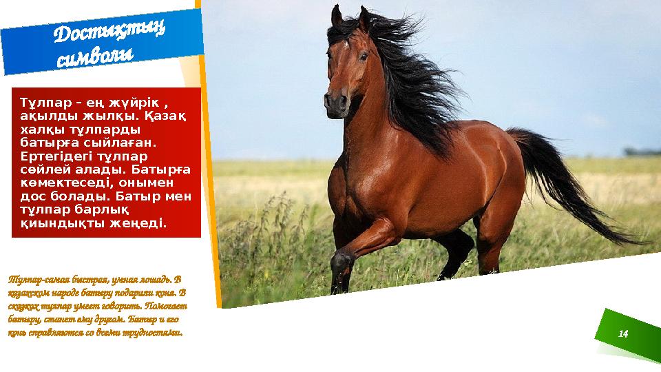 Тулпар-самая быстрая, умная лошадь. В казахском народе батыру подарили коня. В сказках тулпар умеет говорить. Помогает батыру
