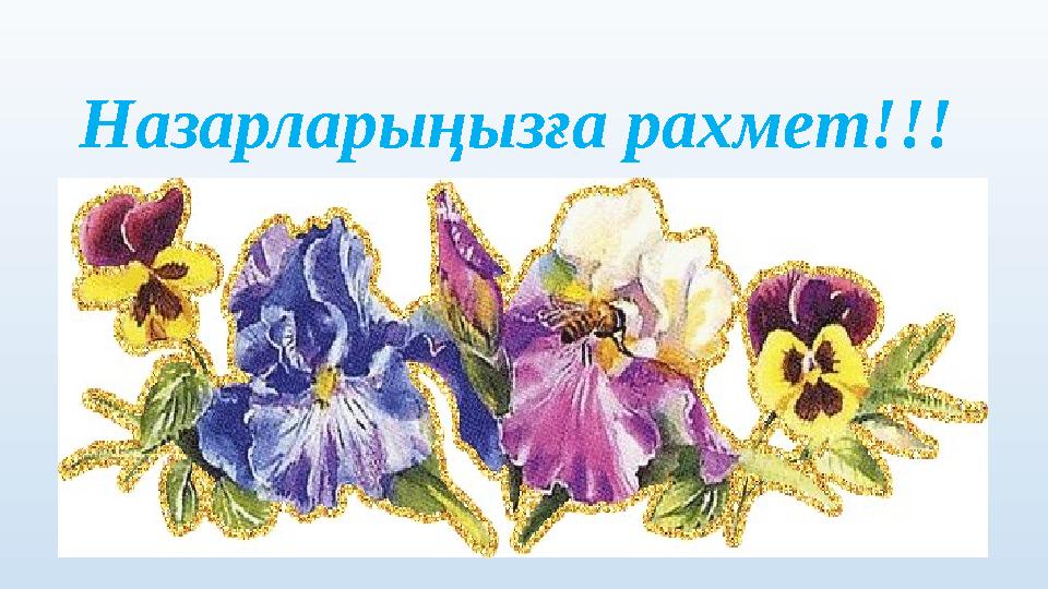 Назарларыңызға рахмет!!!