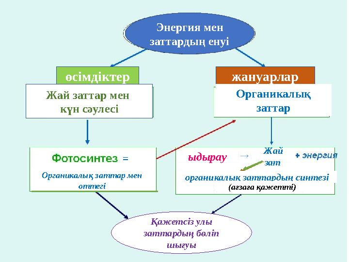 Энергия мен заттардың енуі өсімдіктер жануарлар Жай заттар мен күн сәулесі Органикалық заттар Органикалық заттар мен оттегі