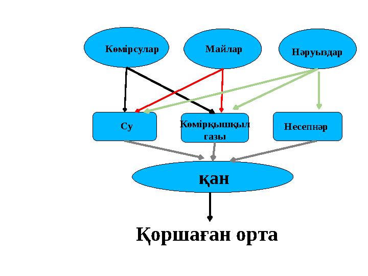 Көмірсулар Майлар Нәруыздар Су Көмірқышқыл газы Несепнәр қан Қоршаған орта