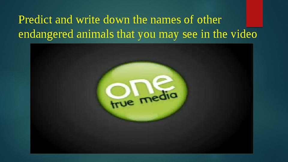 Predict and write down the names of other endangered animals that you may see in the video