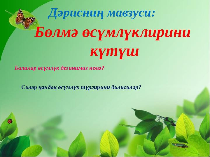 Дәрисниң мавзуси: Бөлмә өсүмлүклирини күтүш Балилар өсүмлүк дегинимиз немә? Силәр қандақ өсүмлүк түрлирини билисиләр?