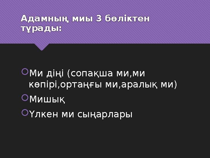 Адамның миы 3 бөліктен тұрады:  Ми діңі ( сопақша ми,ми көпірі,ортаңғы ми,аралық ми )  Мишық  Үлкен ми сыңарлары