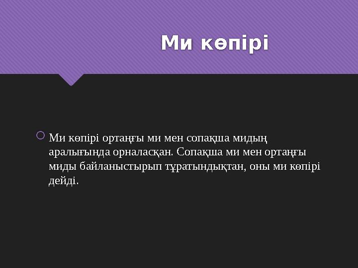 Ми көпірі  Ми көпірі ортаңғы ми мен сопақша мидың аралығында орналасқан. Сопақша ми мен ортаңғы миды байл