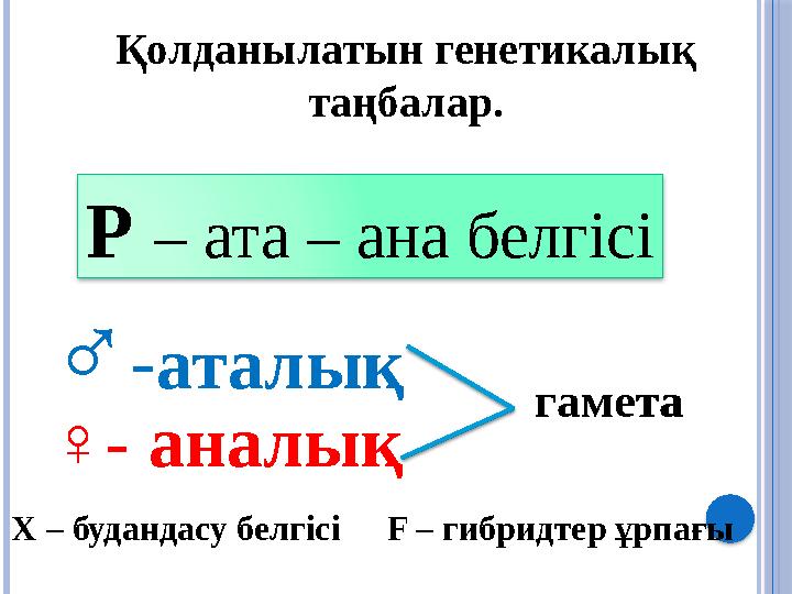 Қолданылатын генетикалық таңбалар. Р – ата – ана белгісі ♂ - аталық ♀ - аналық Х – будандасу белгісі F – гибридтер ұрпағы га