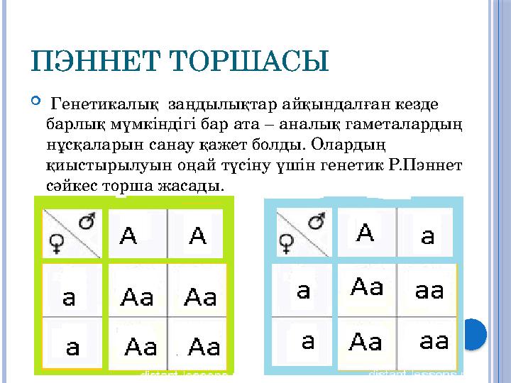 ПЭННЕТ ТОРШАСЫ  Генетикалық заңдылықтар айқындалған кезде барлық мүмкіндігі бар ата – аналық гаметалардың нұсқаларын сана