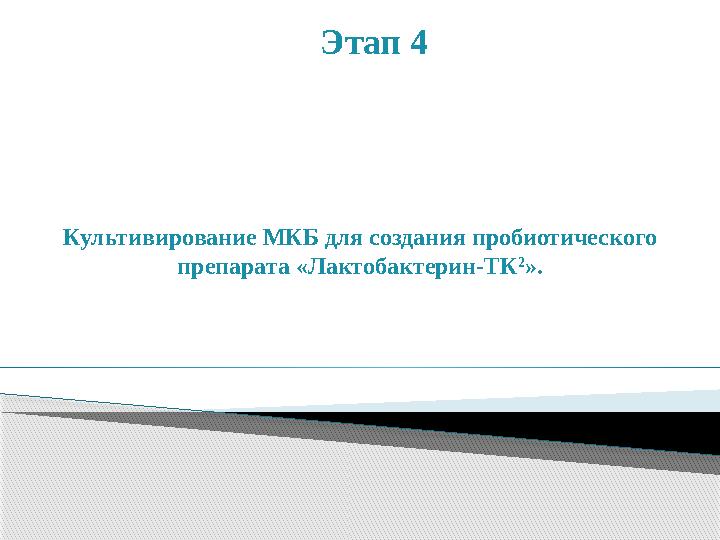 Культивирование МКБ для создания пробиотического препарата «Лактобактерин-ТК 2 ».Этап 4