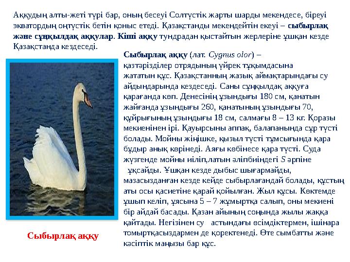 Аққудың алты-жеті түрі бар, оның бесеуі Солтүстік жарты шарды мекендесе, біреуі экватордың оңтүстік бетін қоныс етеді. Қазақста