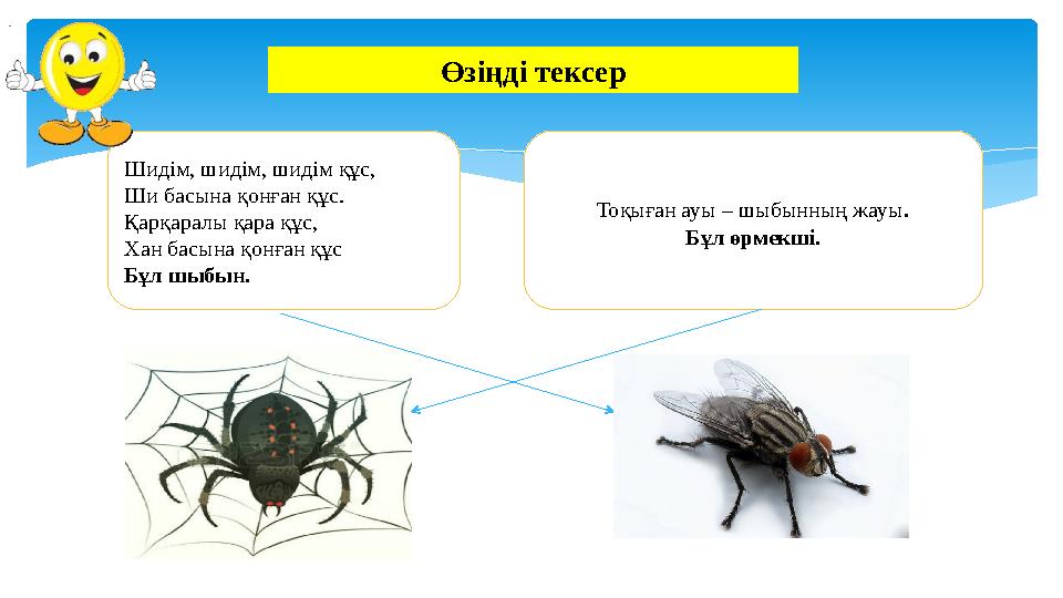 Шидім, шидім, шидім құс, Ши басына қонған құс. Қарқаралы қара құс, Хан басына қонған құс Бұл шыбын. Тоқыған ауы – шыбынның жау