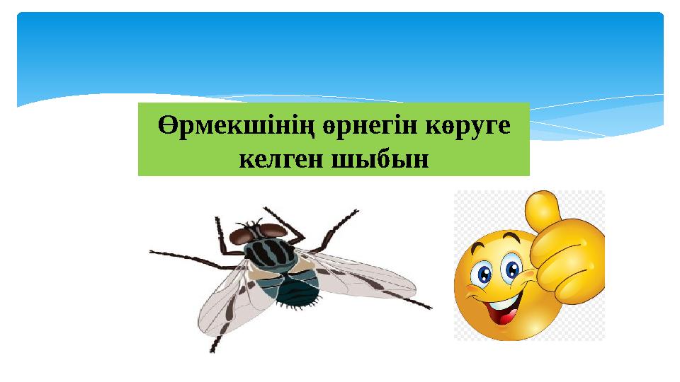 Өрмекшінің өрнегін көруге келген шыбын