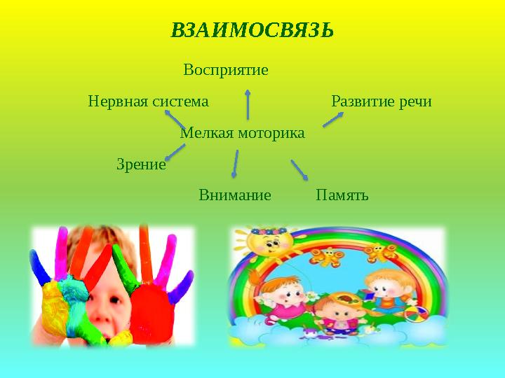 ВЗАИМОСВЯЗЬ Восприятие Нервная система Развитие речи Мелкая мотор