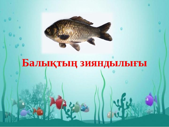 Балықтың зияндылығы