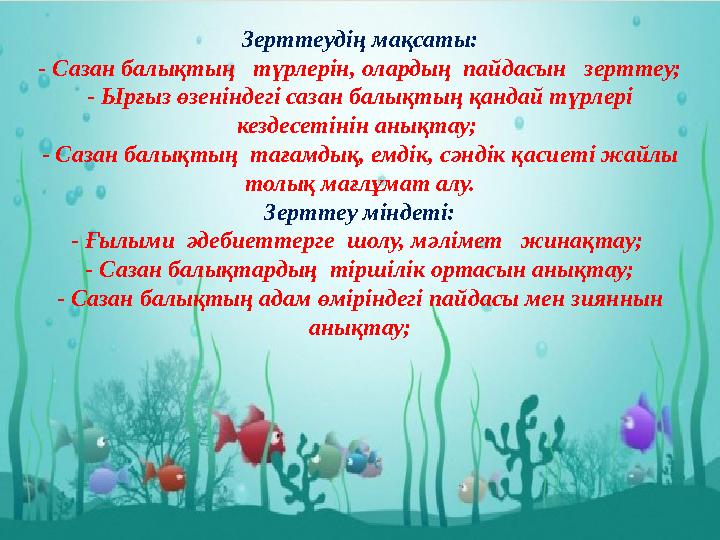 Зерттеудің мақсаты: - Сазан балықтың түрлерін, олардың пайдасын зерттеу; - Ырғыз өзеніндегі сазан балықтың қандай түрлері