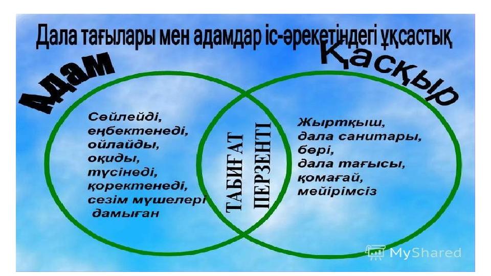 Бүкіл әлем бойынша эротика