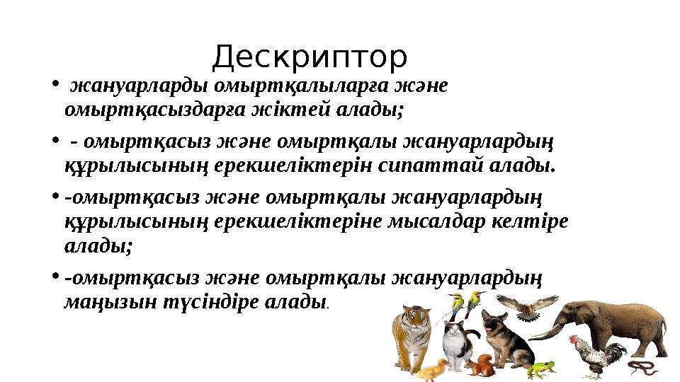 Дескриптор • жануарларды омыртқалыларға және омыртқасыздарға жіктей алады; • - омыртқасыз және омыртқал