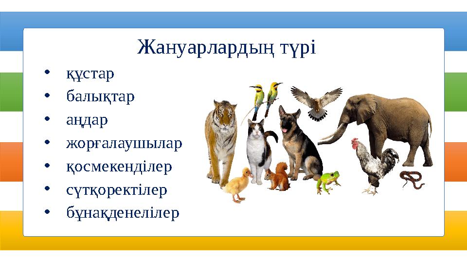 Жануарлардың түрі • құстар • балықтар • аңдар • жорғалаушылар • қосмекенділер • сүтқоректілер • бұнақденелілер