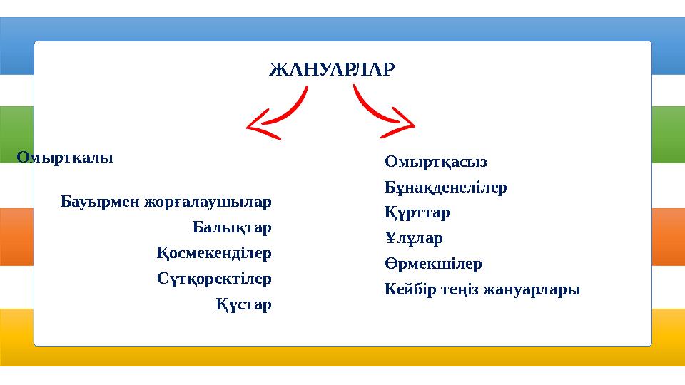 Омырткалы Бауырмен жорғалаушылар Балықтар Қосмекенділер Сүтқоректілер Құстар