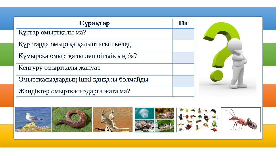 Сұрақтар Ия Құстар омыртқалы ма? Құрттарда омыртқа қалыптасып келеді Кұмырска омыртқалы деп ойлайсың ба? Кенгуру омыртқалы