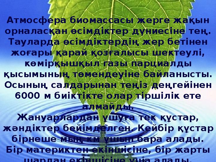 Атмосфера биомассасы жерге жақын орналасқан өсімдіктер дүниесіне тең. Тауларда өсімдіктердің жер бетінен жоғары қарай қозғалы