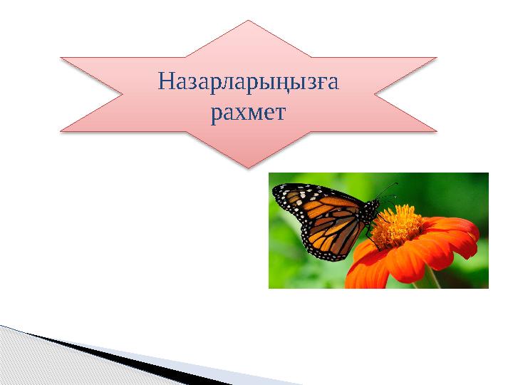 Назарларыңызға рахмет