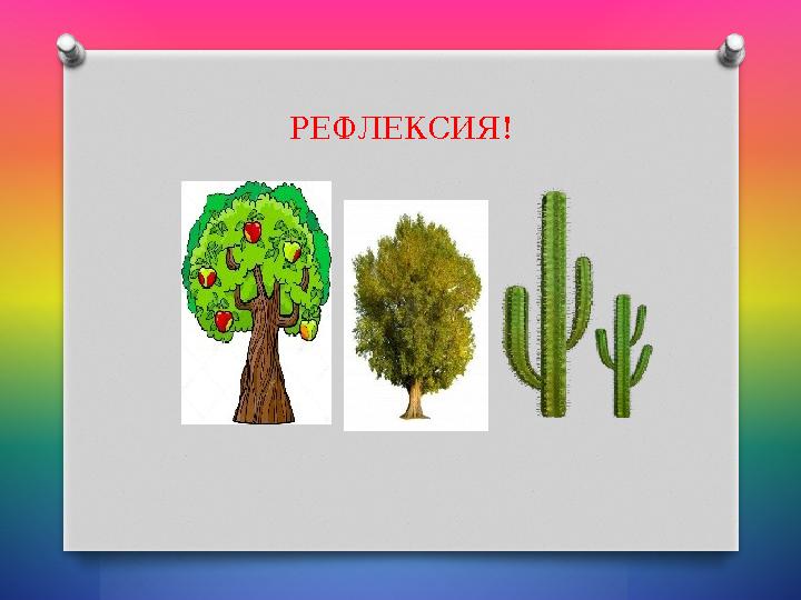 РЕФЛЕКСИЯ!