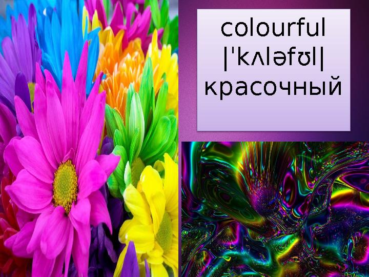 colourful |ˈ k ʌ l ə f ʊ l | красочный