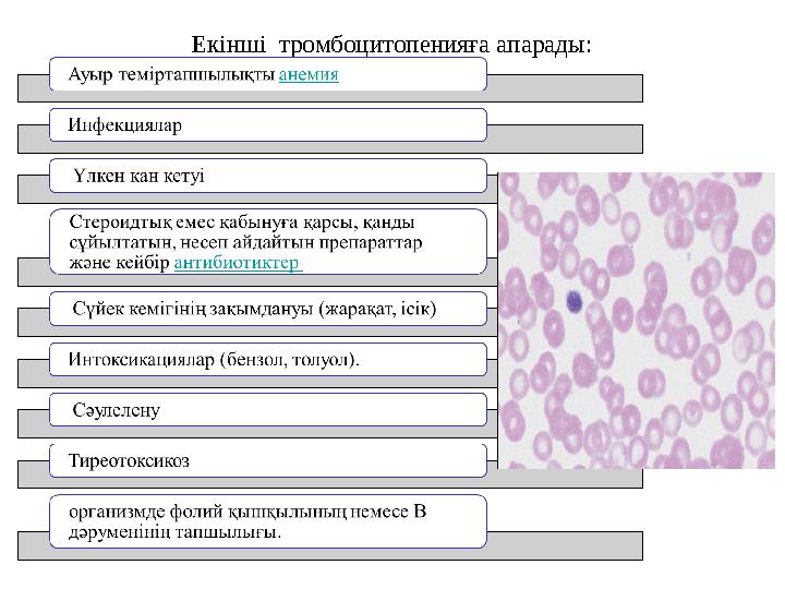 Екінші тромбоцитопенияға апарады: