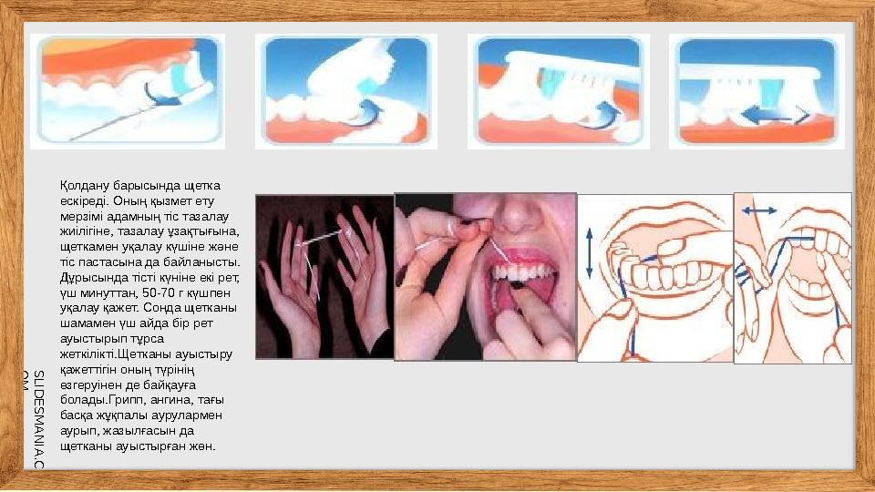 SLID ESM AN IA.C O MҚолдану барысында щетка ескіреді. Оның қызмет ету мерзімі адамның тіс тазалау жиілігіне, тазалау ұзақтығ