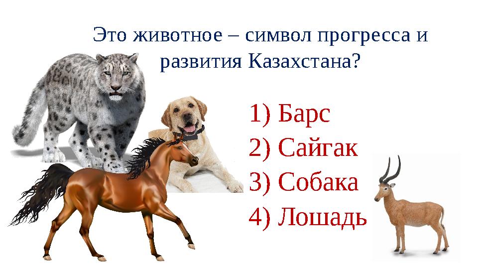 Это животное – символ прогресса и развития Казахстана? 1) Барс 2) Сайгак 3) Собака 4) Лошадь