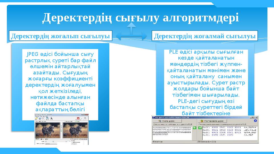 JPEG әдісі бойынша сығу растрлық суреті бар файл өлшемін айтарлықтай азайтады. Сығудың жоғарғы коэффициенті деректердің жо