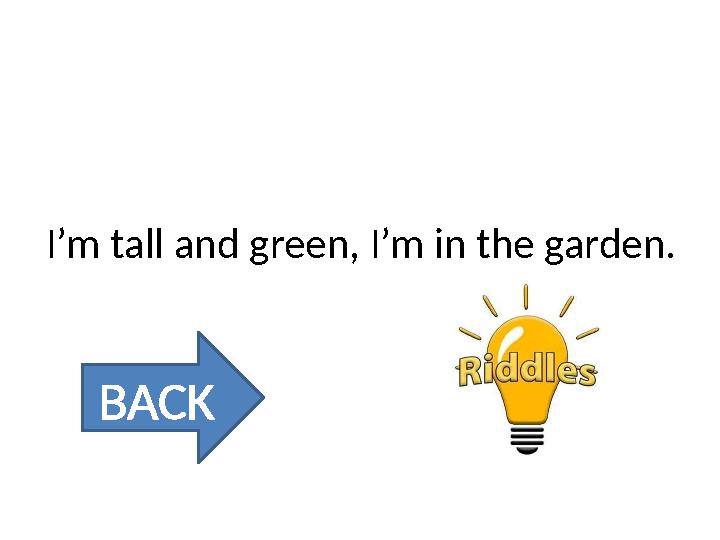 I’m tall and green, I’m in the garden. BACK